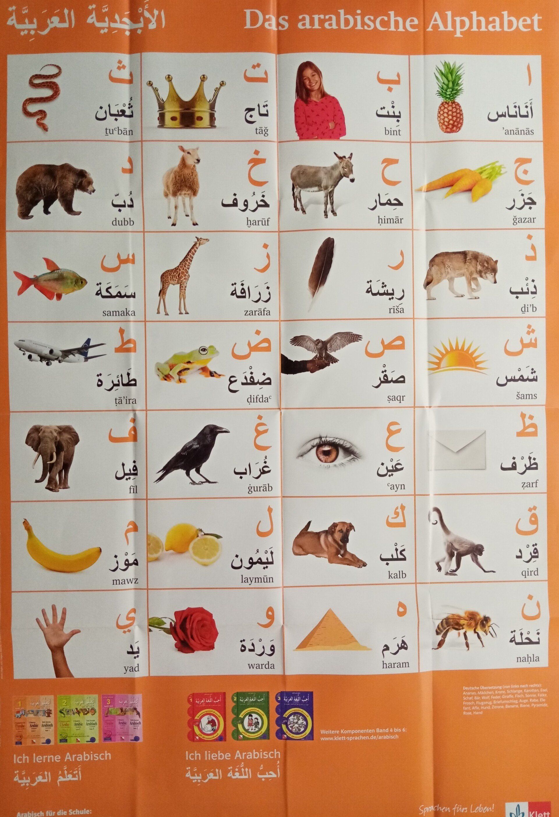 Arabischkurs online über Zoom mit Deinem zertifizierten Arabischlehrer